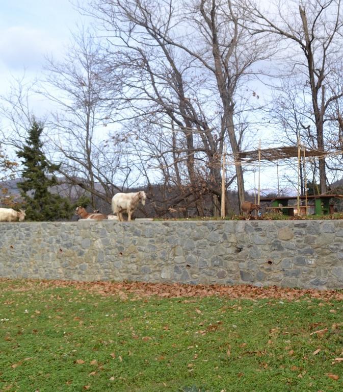 Toscana Nord Ovest - Tra La Costa Apartments Albiano Magra Exteriör bild