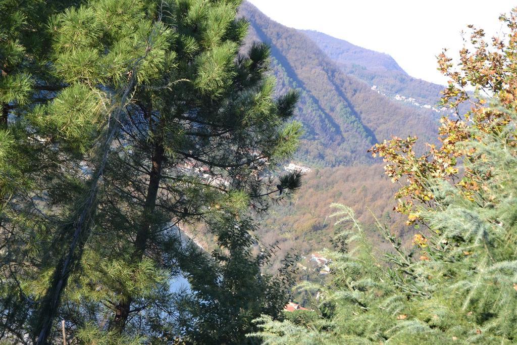 Toscana Nord Ovest - Tra La Costa Apartments Albiano Magra Exteriör bild