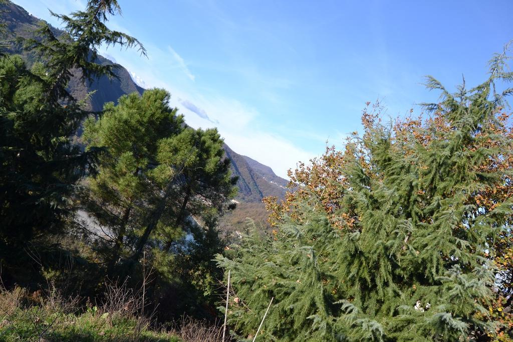 Toscana Nord Ovest - Tra La Costa Apartments Albiano Magra Exteriör bild