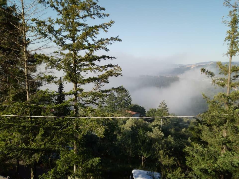 Toscana Nord Ovest - Tra La Costa Apartments Albiano Magra Exteriör bild